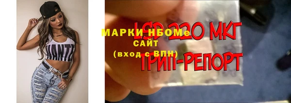 спиды Богородицк