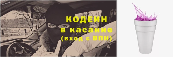 спиды Богородицк