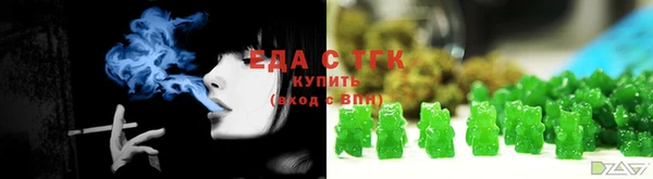 спиды Богородицк