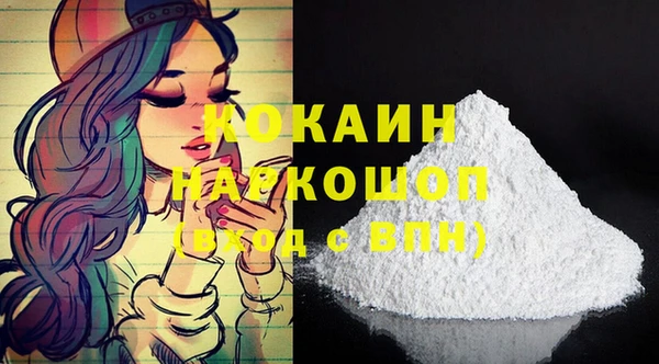 спиды Богородицк