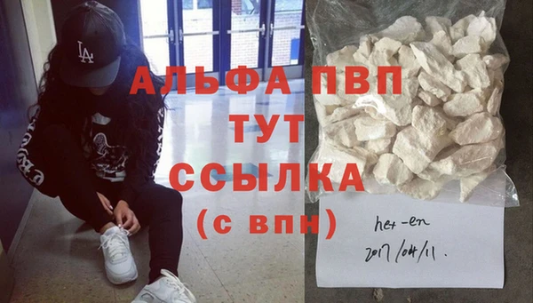 спиды Богородицк