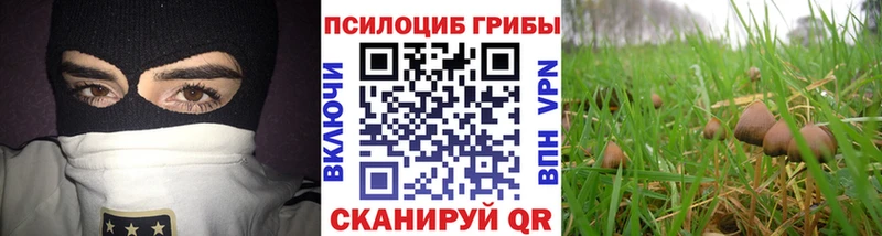 закладки Южа Галлюциногенные грибы мухоморы