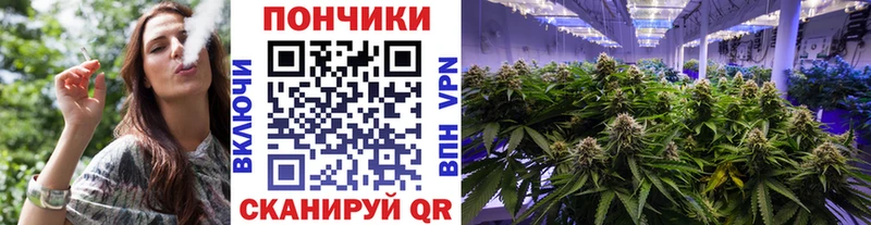 Бошки марихуана SATIVA & INDICA  Южа 